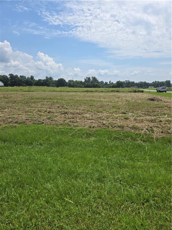 Homes for sale in Natchitoches, LA | 1209 Hampton Road, Natchitoches, LA 71457 | MLS# CN2518255