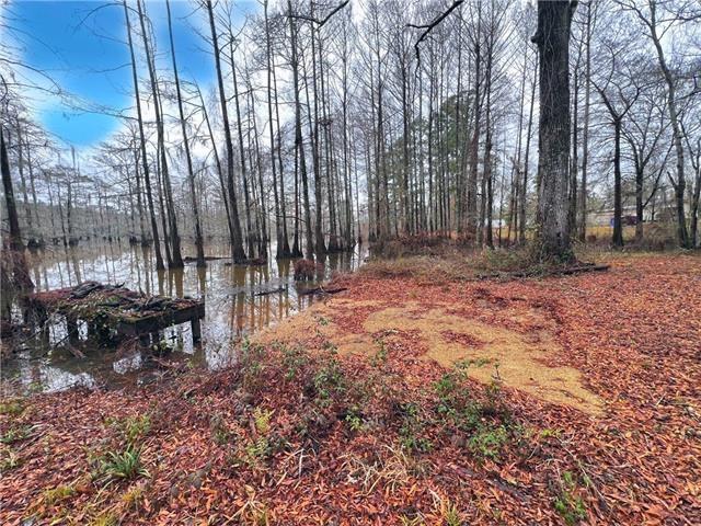 Homes for sale in Colfax, LA | 265 Pinckard Road, Colfax, LA 71417 | MLS# CN2518326