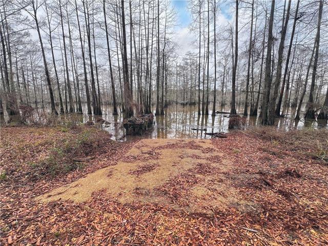 Homes for sale in Colfax, LA | 265 Pinckard Road, Colfax, LA 71417 | MLS# CN2518326