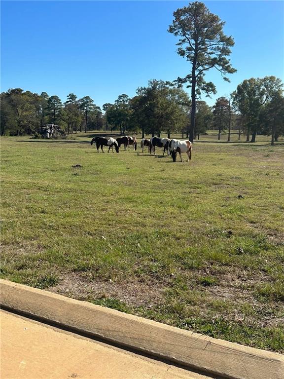 Homes for sale in Woodworth, LA | Clubhouse Dr, Woodworth, LA 71485 | MLS# CN2518766