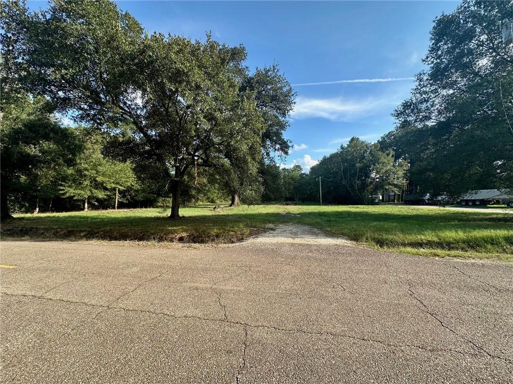 Homes for sale in Independence, LA | 13404&13406 Brickyard Road, Independence, LA 70443 | MLS# NO2518607