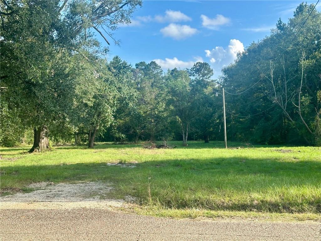 Homes for sale in Independence, LA | 13404&13406 Brickyard Road, Independence, LA 70443 | MLS# NO2518607