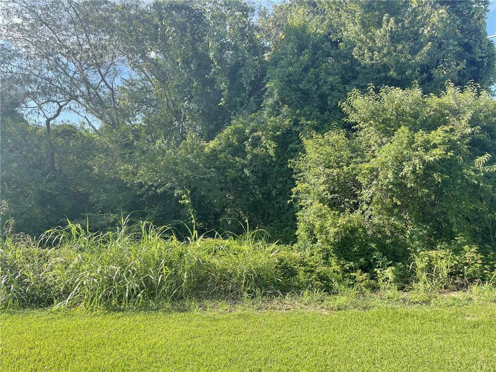 Homes for sale in Cottonport, LA | 0 Choupique Lane, Cottonport, LA 71327 | MLS# CN2519721