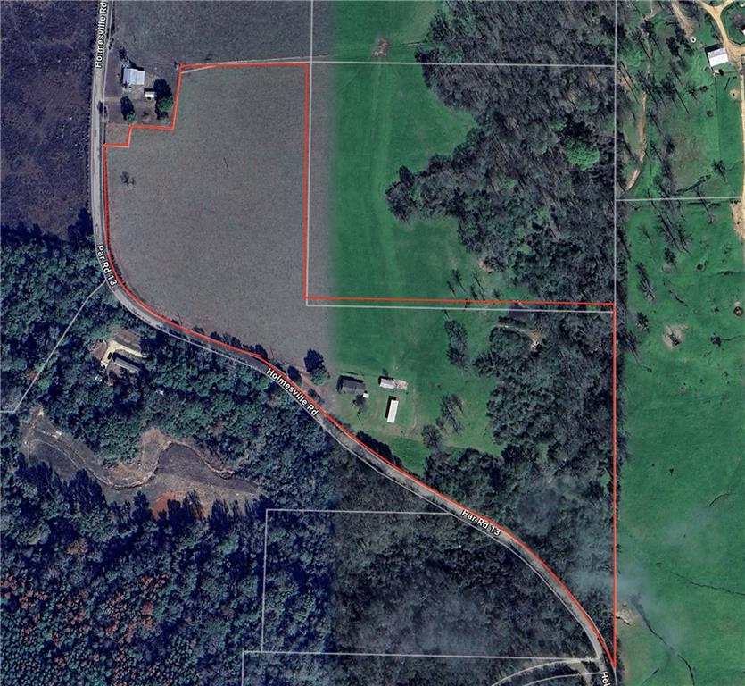 Homes for sale in Mt Hermon, LA | 31248 Holmesville Road, Mt Hermon, LA 70450 | MLS# NO2519747