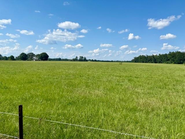 Homes for sale in Mt Hermon, LA | 31248 Holmesville Road, Mt Hermon, LA 70450 | MLS# NO2519747