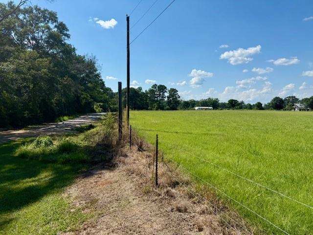 Homes for sale in Mt Hermon, LA | 31248 Holmesville Road, Mt Hermon, LA 70450 | MLS# NO2519747