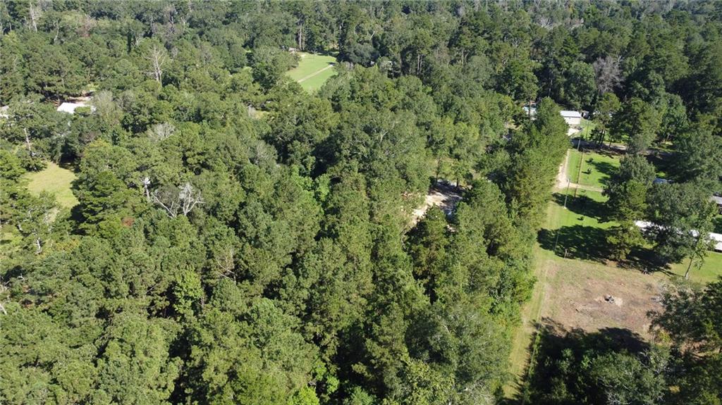 Homes for sale in Independence, LA | 27184 Horseshoe Road, Independence, LA 70443 | MLS# NO2520362