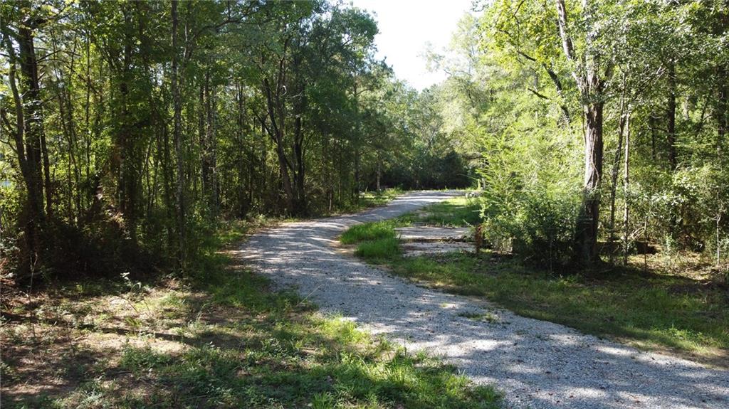 Homes for sale in Independence, LA | 27184 Horseshoe Road, Independence, LA 70443 | MLS# NO2520362