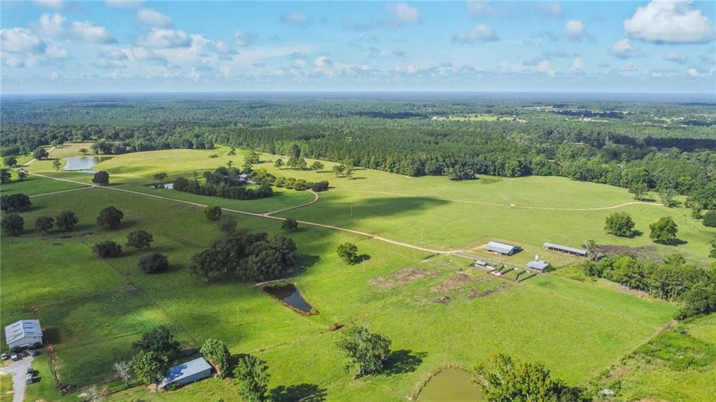 Homes for sale in Carriere, MS | 81 James Jarrell Road, Carriere, MS 39426 | MLS# NO2520315