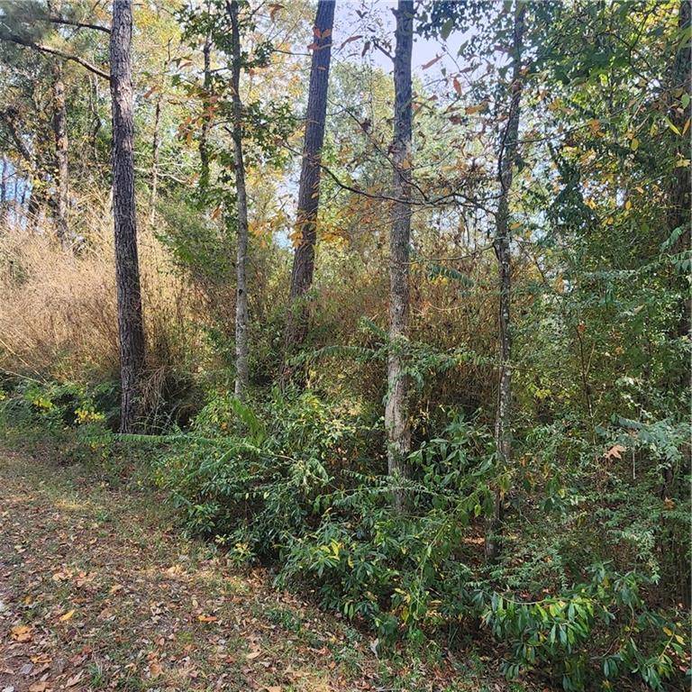 Homes for sale in Covington, LA | Rian Dr, Covington, LA 70435 | MLS# NO2521989