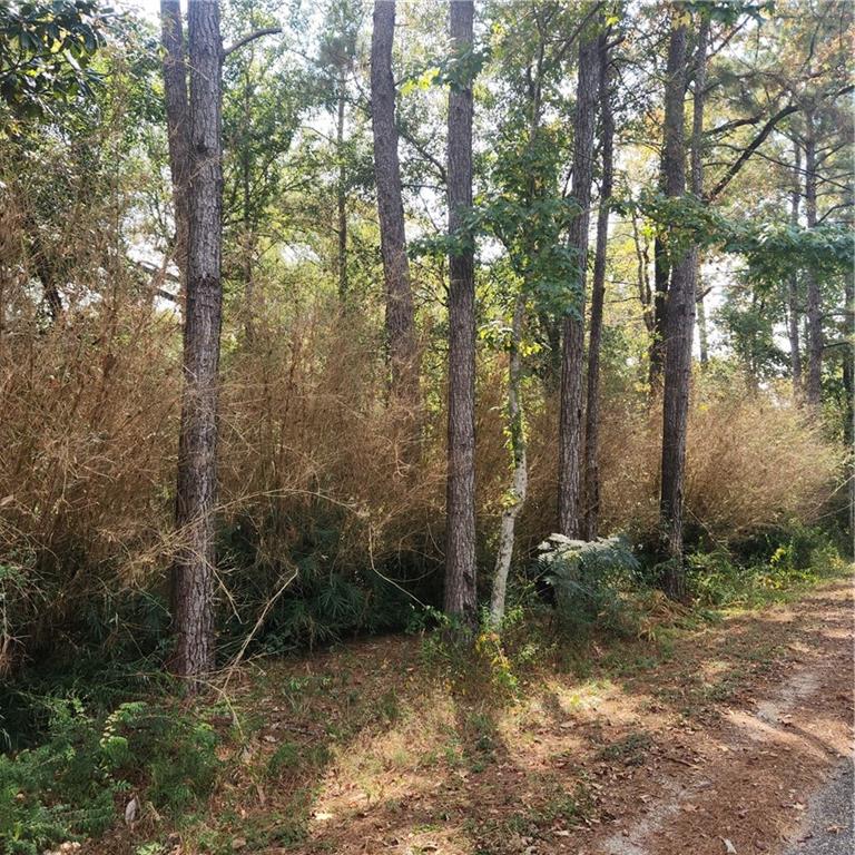 Homes for sale in Covington, LA | Rian Dr, Covington, LA 70435 | MLS# NO2521989