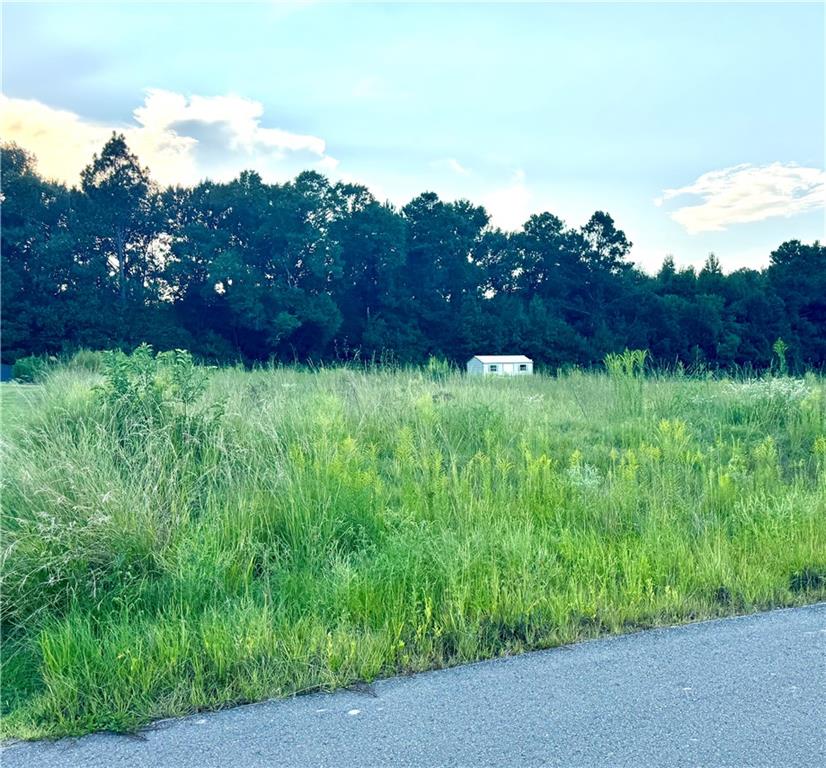 Homes for sale in Pollock, LA | 132 Meadow Lane, Pollock, LA 71467 | MLS# CN2522227