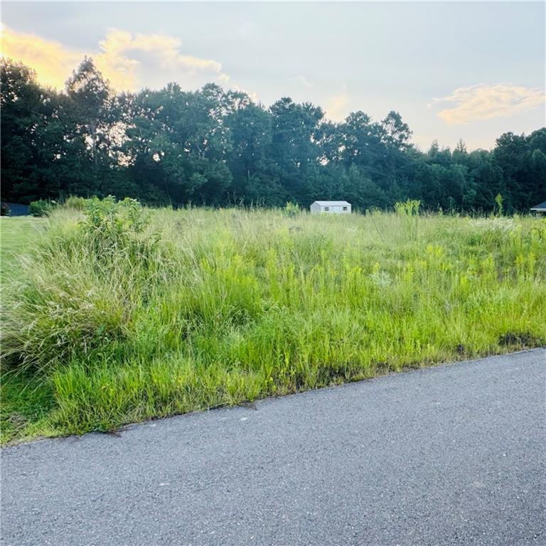 Homes for sale in Pollock, LA | 132 Meadow Lane, Pollock, LA 71467 | MLS# CN2522227