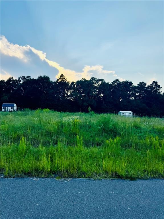 Homes for sale in Pollock, LA | 132 Meadow Lane, Pollock, LA 71467 | MLS# CN2522227