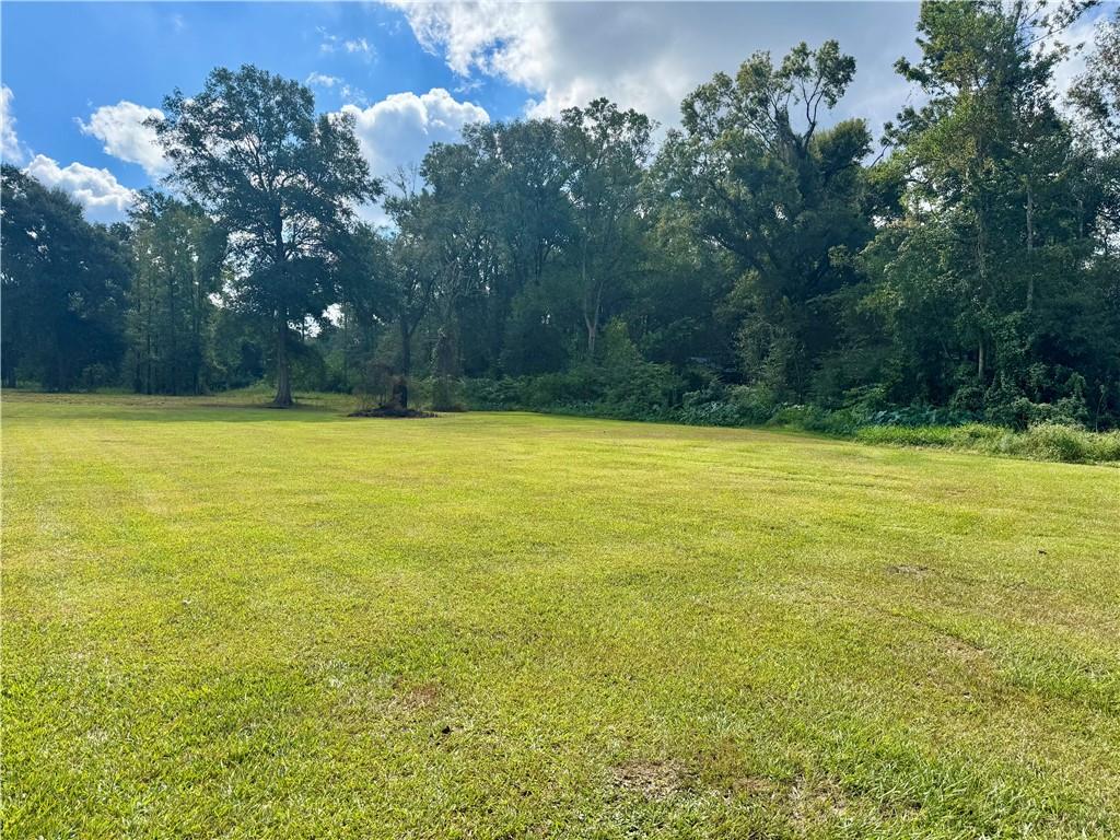 Homes for sale in Tickfaw, LA | 49090 Stafford Road, Tickfaw, LA 70466 | MLS# NO2522594