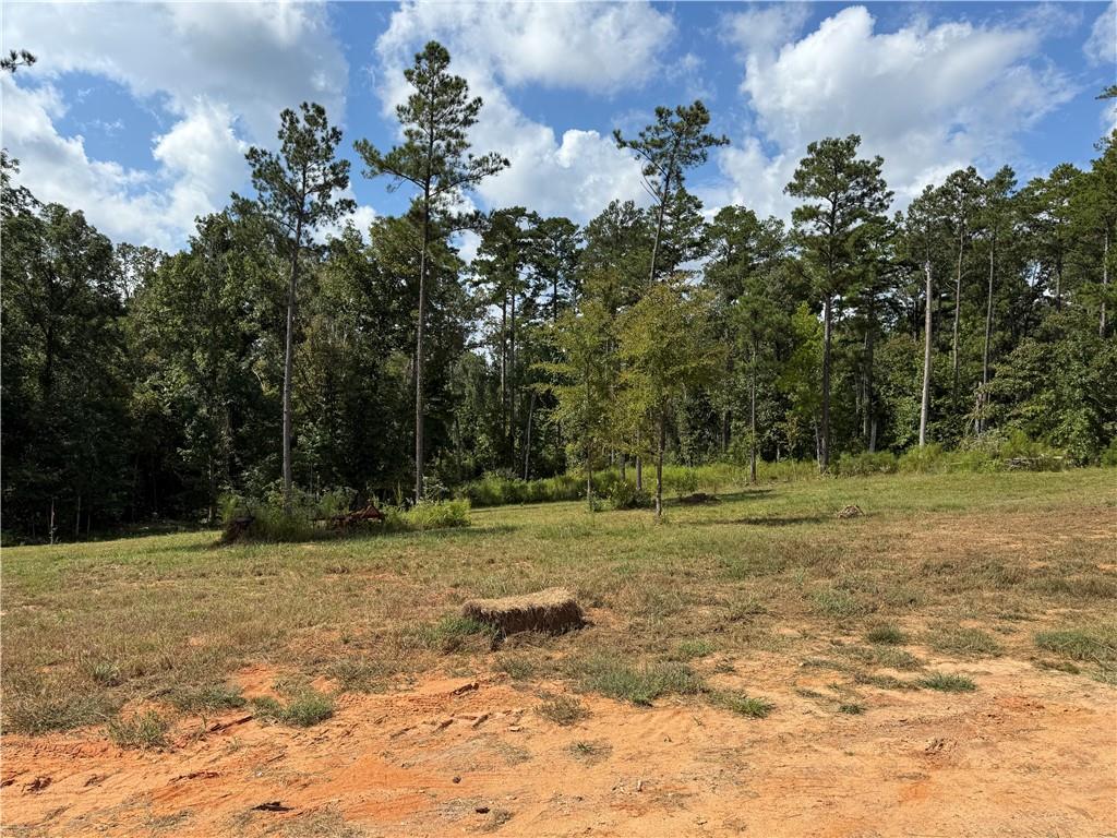 Homes for sale in Boyce, LA | 21 Teekell Road, Boyce, LA 71409 | MLS# CN2522804