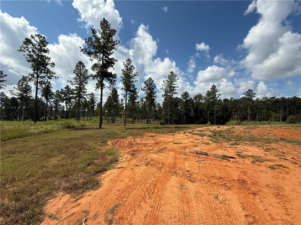 Homes for sale in Boyce, LA | 21 Teekell Road, Boyce, LA 71409 | MLS# CN2522804