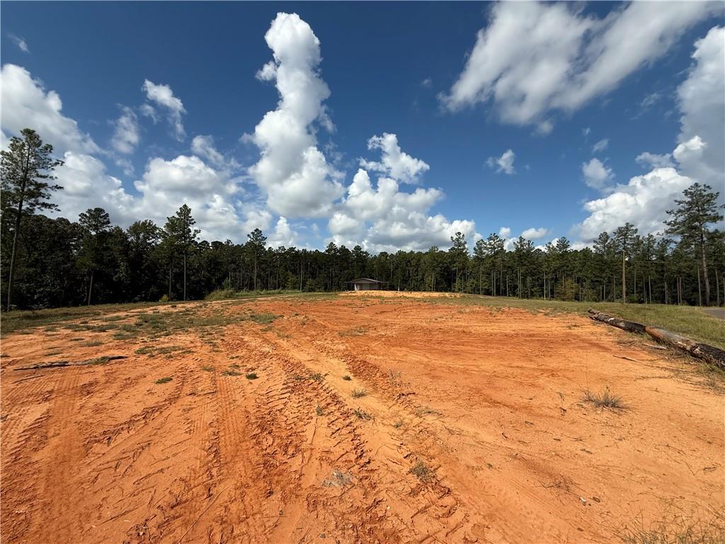 Homes for sale in Boyce, LA | 21 Teekell Road, Boyce, LA 71409 | MLS# CN2522804