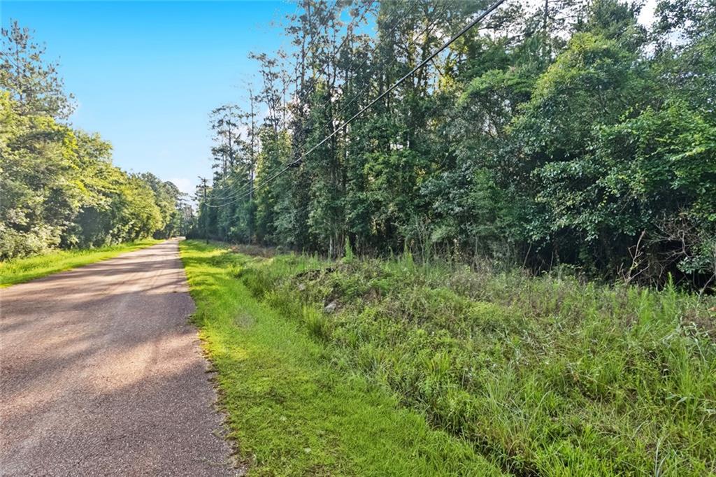 Homes for sale in Folsom, LA | 0 Philebar Road, Folsom, LA 70435 | MLS# NO2522966