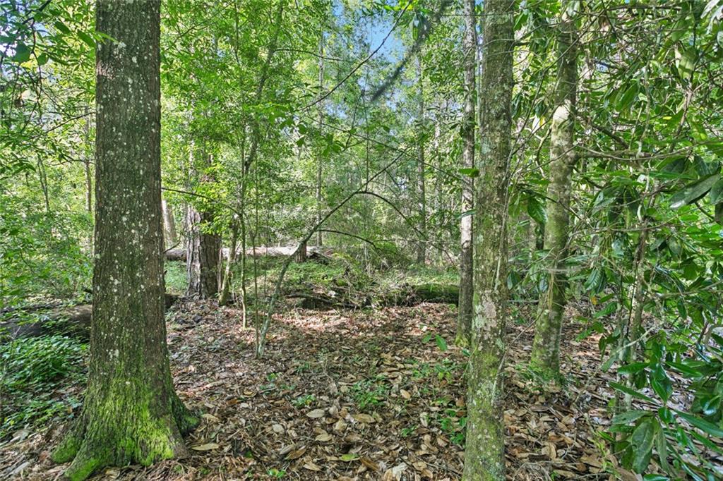 Homes for sale in Folsom, LA | 0 Philebar Road, Folsom, LA 70435 | MLS# NO2522966