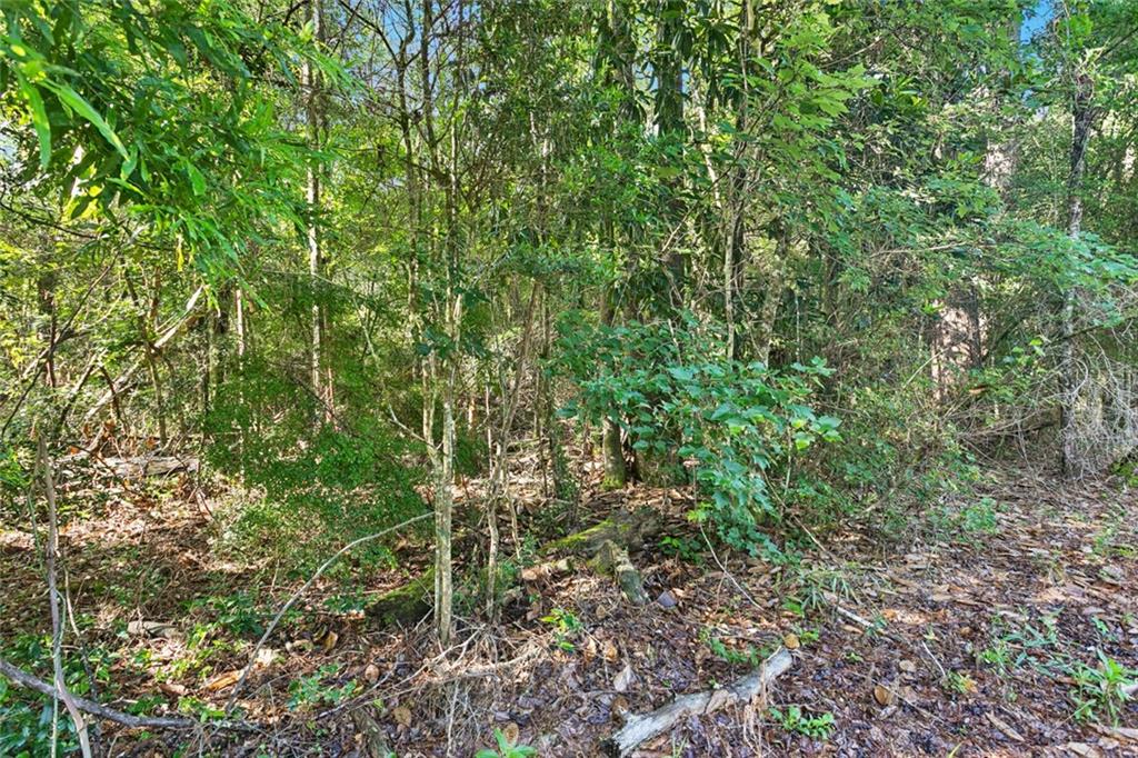 Homes for sale in Folsom, LA | 0 Philebar Road, Folsom, LA 70435 | MLS# NO2522966