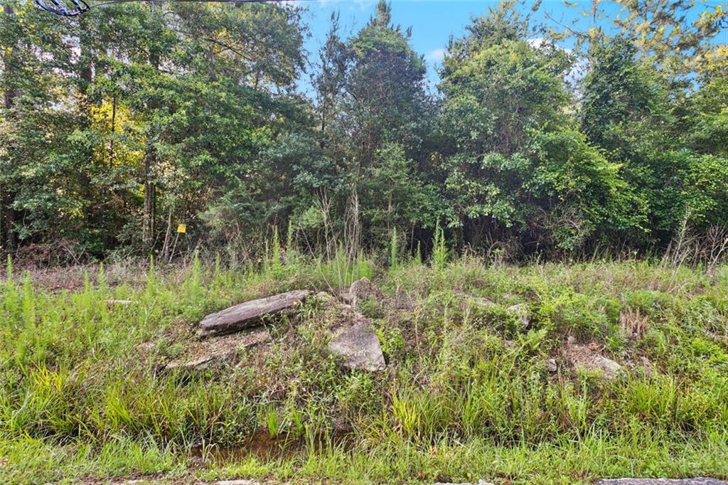 Homes for sale in Folsom, LA | 0 Philebar Road, Folsom, LA 70435 | MLS# NO2522966