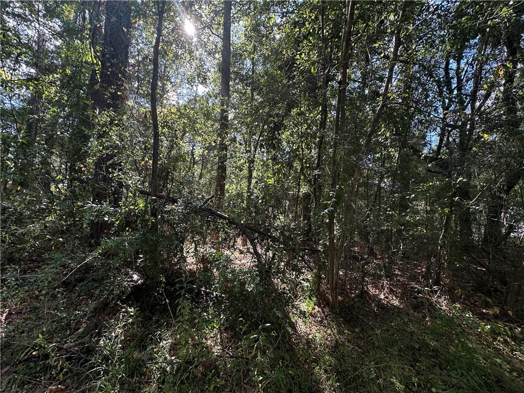 Homes for sale in Covington, LA | Lot 36 Carnation Street, Covington, LA 70435 | MLS# NO2522688