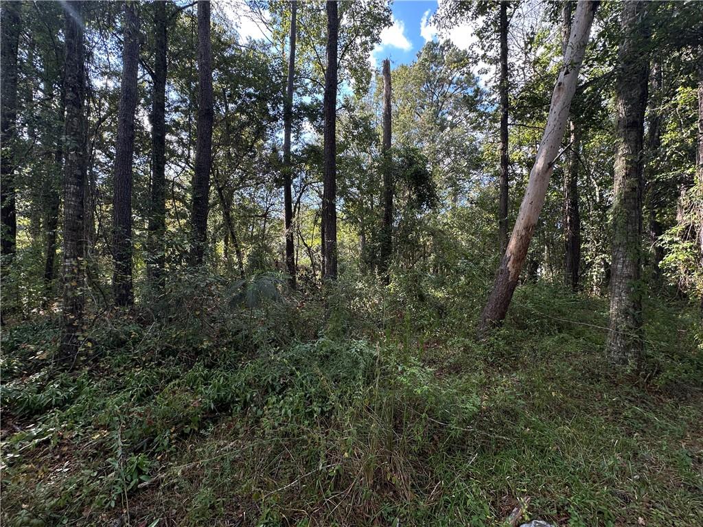 Homes for sale in Covington, LA | Lot 36 Carnation Street, Covington, LA 70435 | MLS# NO2522688