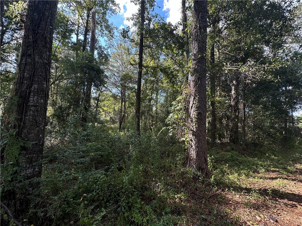 Homes for sale in Covington, LA | Lot 36 Carnation Street, Covington, LA 70435 | MLS# NO2522688