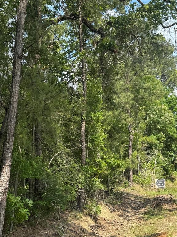 Homes for sale in Deville, LA | 0b Philadelphia Road, Deville, LA 71328 | MLS# CN2523085