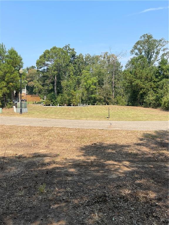 Homes for sale in Springfield, LA | Swamp Road, Springfield, LA 70462 | MLS# NO2524224