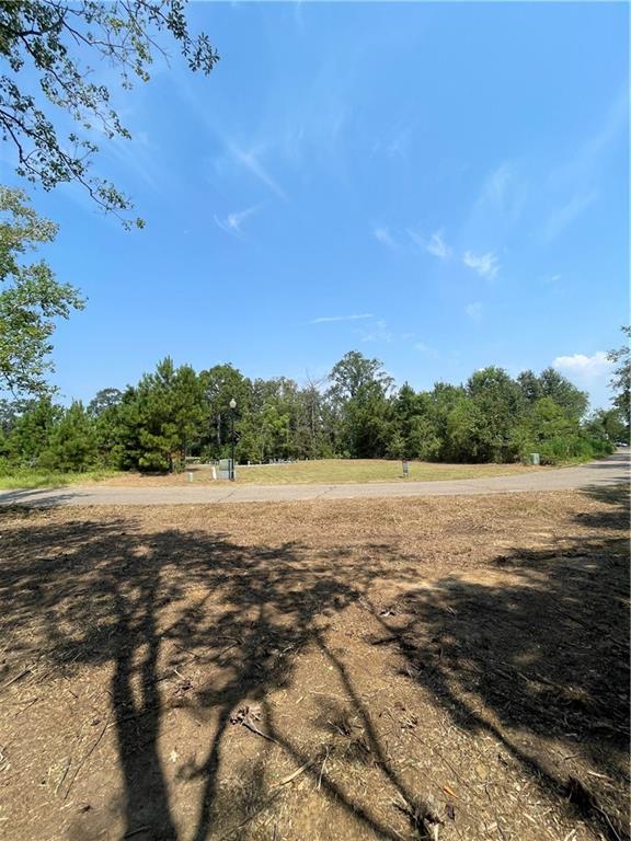 Homes for sale in Springfield, LA | Swamp Road, Springfield, LA 70462 | MLS# NO2524224