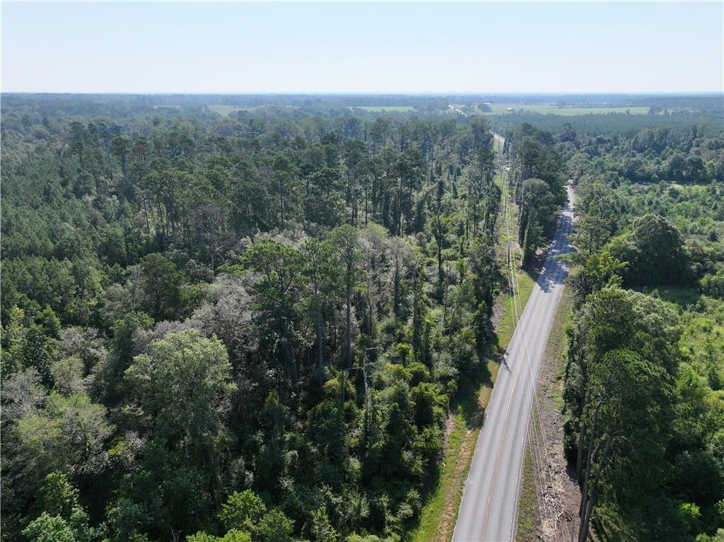 Homes for sale in Amite, LA | La 1045 Hwy, Amite, LA 70422 | MLS# NO2524764