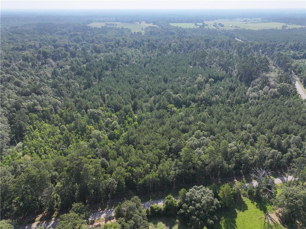 Homes for sale in Amite, LA | La 1045 Hwy, Amite, LA 70422 | MLS# NO2524764