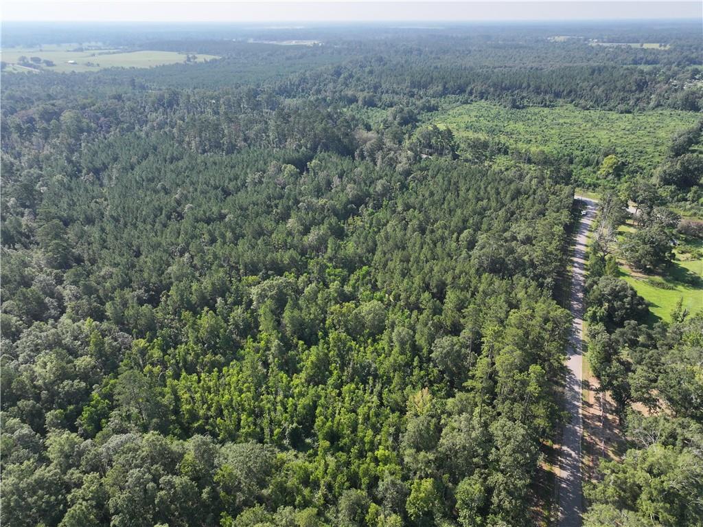 Homes for sale in Amite, LA | La 1045 Hwy, Amite, LA 70422 | MLS# NO2524764