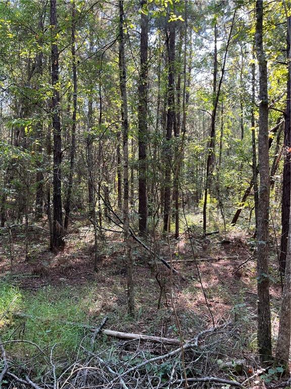 Homes for sale in Amite, LA | La 1045 Hwy, Amite, LA 70422 | MLS# NO2524764