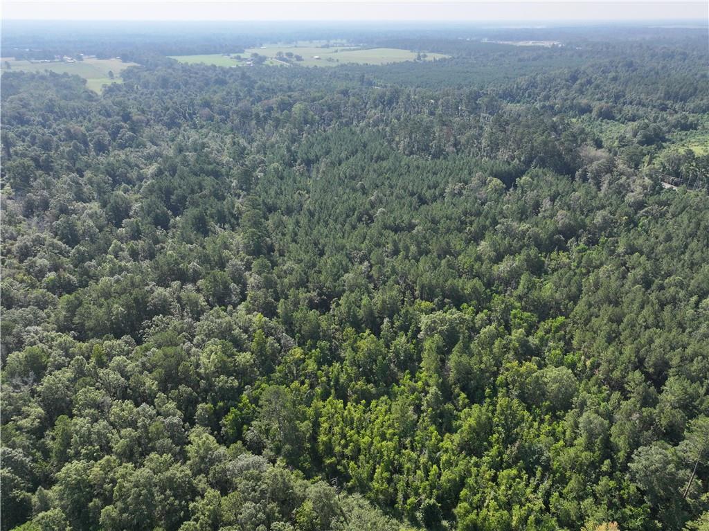 Homes for sale in Amite, LA | La 1045 Hwy, Amite, LA 70422 | MLS# NO2524764