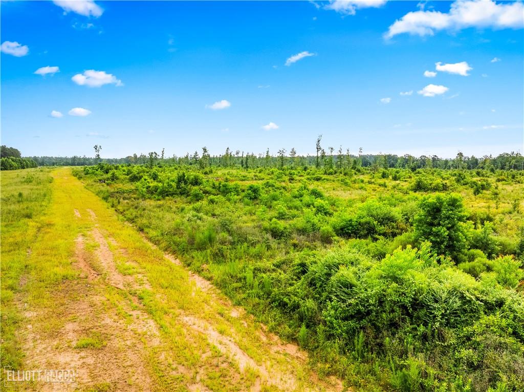 Homes for sale in Glenmora, LA | Mcnary Cutoff Lot 1 Road, Glenmora, LA 71433 | MLS# CN2524386