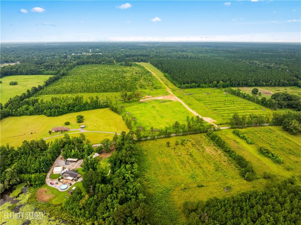 Homes for sale in Glenmora, LA | Mcnary Cutoff Lot 1 Road, Glenmora, LA 71433 | MLS# CN2524386