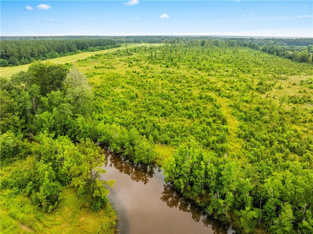 Homes for sale in Glenmora, LA | Mcnary Cutoff Lot 3 Road, Glenmora, LA 71433 | MLS# CN2524818