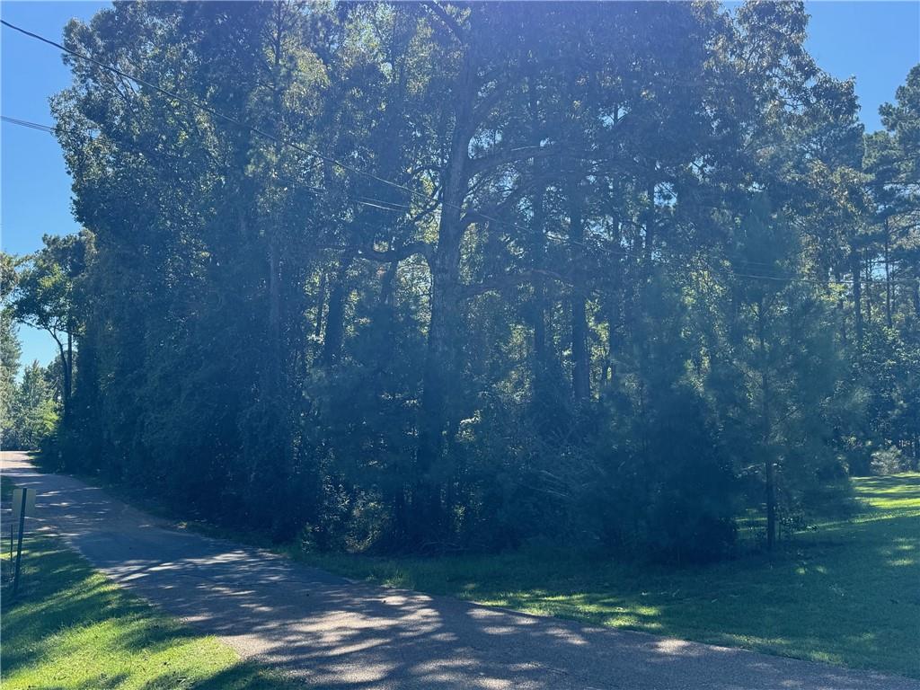 Homes for sale in Jena, LA | 00 Austin Road, Jena, LA 71342 | MLS# CN2525019