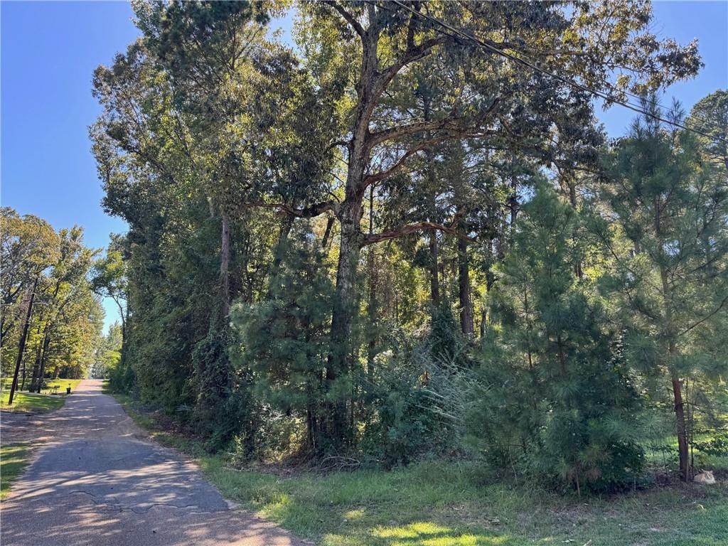 Homes for sale in Jena, LA | 00 Austin Road, Jena, LA 71342 | MLS# CN2525019