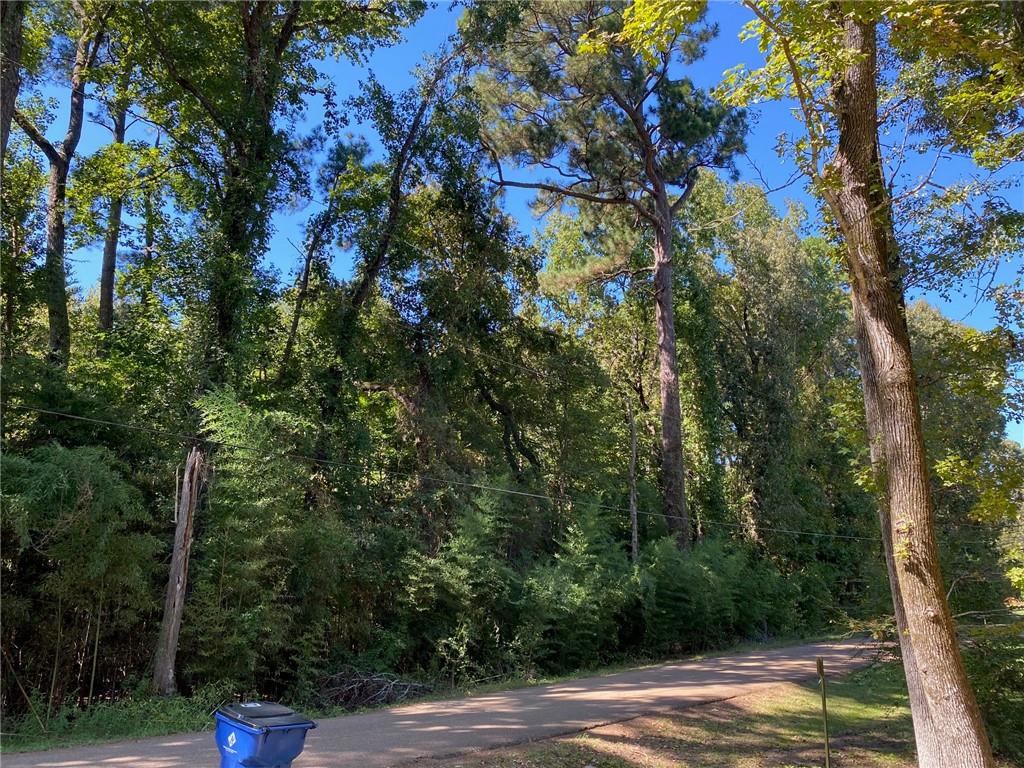 Homes for sale in Jena, LA | 00 Austin Road, Jena, LA 71342 | MLS# CN2525019