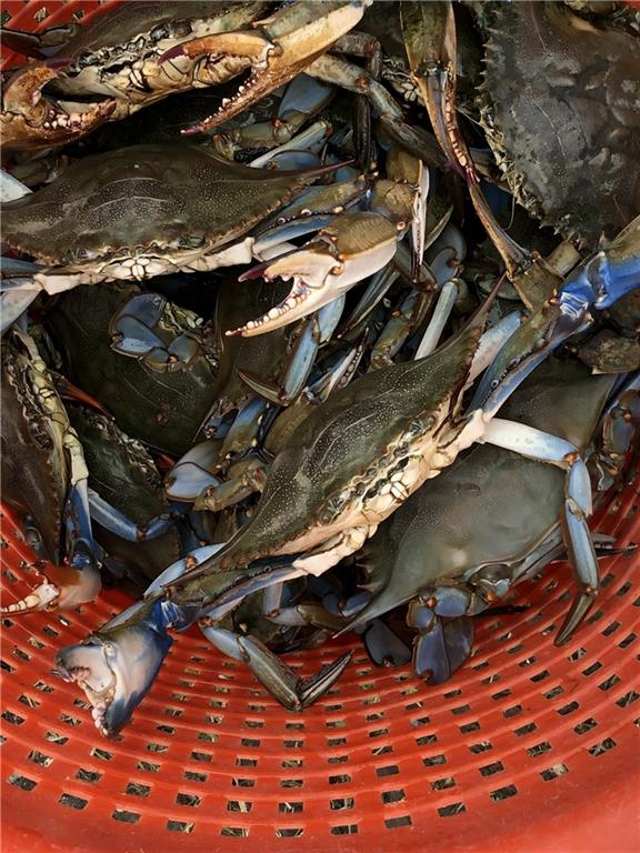 Homes for sale in New Orleans, LA | 25649 Chef Menteur Hwy, New Orleans, LA 70129 | MLS# NO2525150