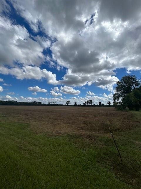 Homes for sale in Bunkie, LA | Tbd Hwy 115 W Hwy, Bunkie, LA 71322 | MLS# CN2525188