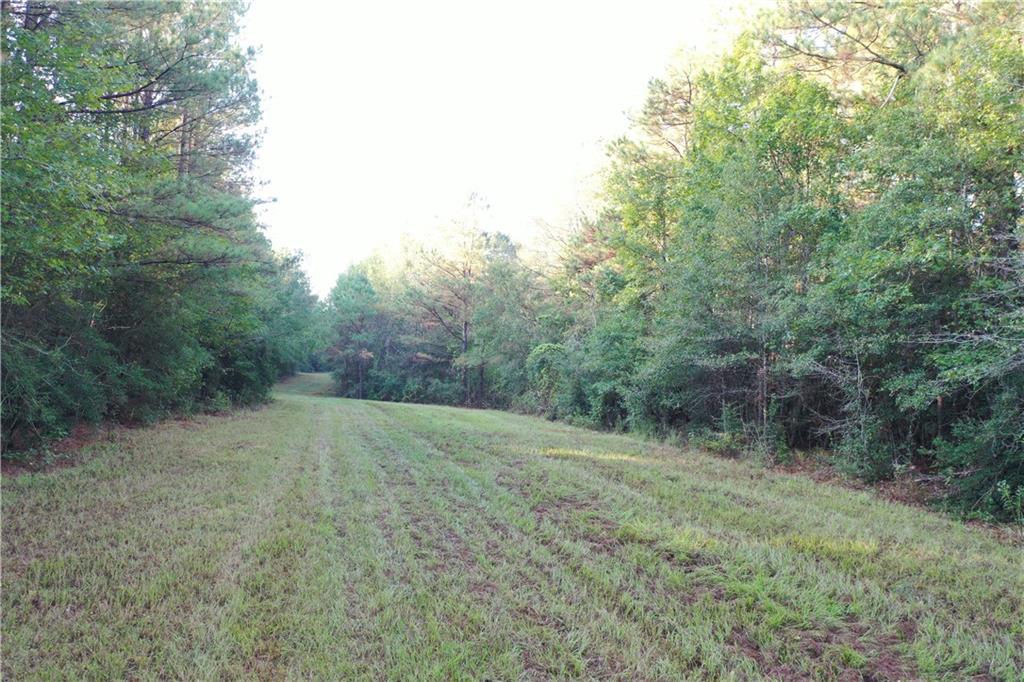 Homes for sale in Mt Hermon, LA | La 438 Hwy, Mt Hermon, LA 70450 | MLS# NO2525980