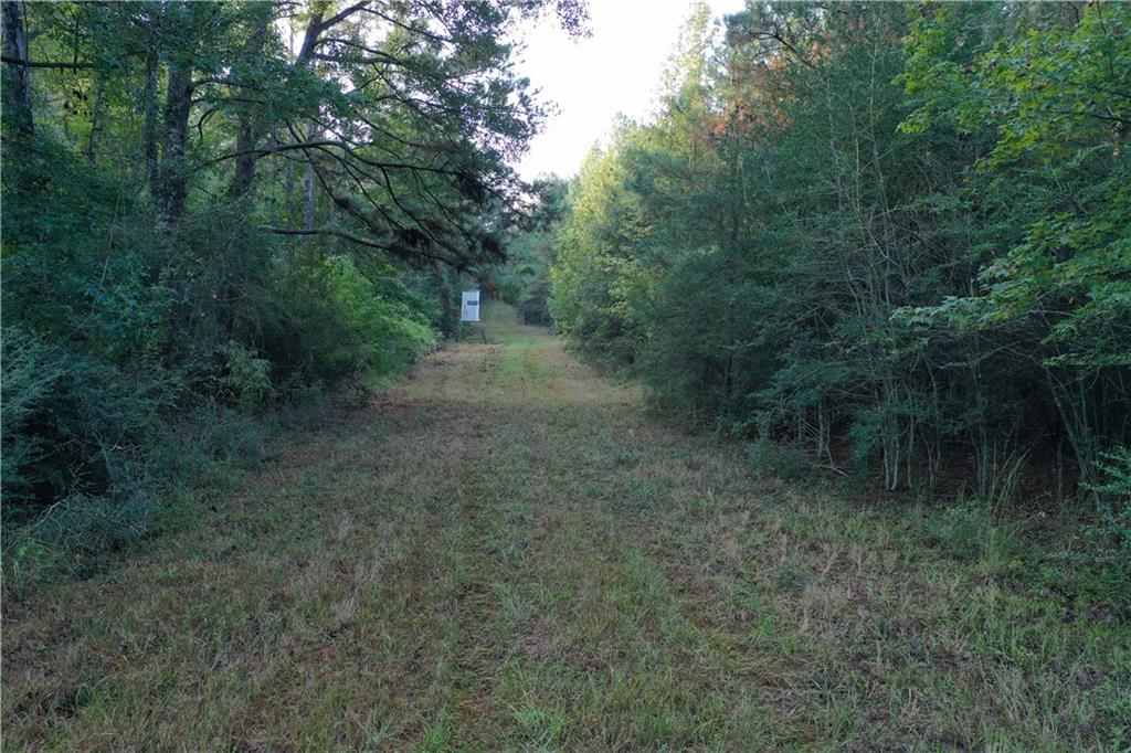 Homes for sale in Mt Hermon, LA | La 438 Hwy, Mt Hermon, LA 70450 | MLS# NO2525980