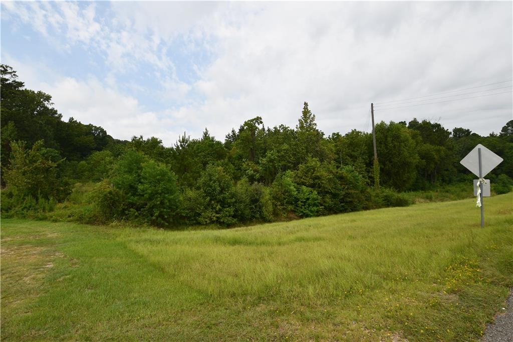 Homes for sale in Ball, LA | 5129 Hwy 165 Hwy, Ball, LA 71405 | MLS# CN2525969