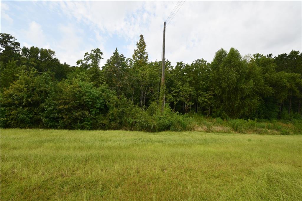 Homes for sale in Ball, LA | 5129 Hwy 165 Hwy, Ball, LA 71405 | MLS# CN2525969