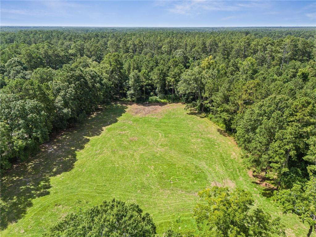 Homes for sale in Covington, LA | 23160 Lowe Davis Rd Road, Covington, LA 70435 | MLS# NO2527061